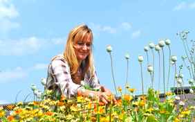 Kräuter! Frisch gepflückt im Wildkräutergarten... - Foto: Andrea Knura